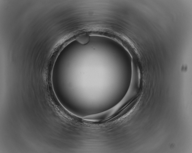 X0000096170922200801181246
