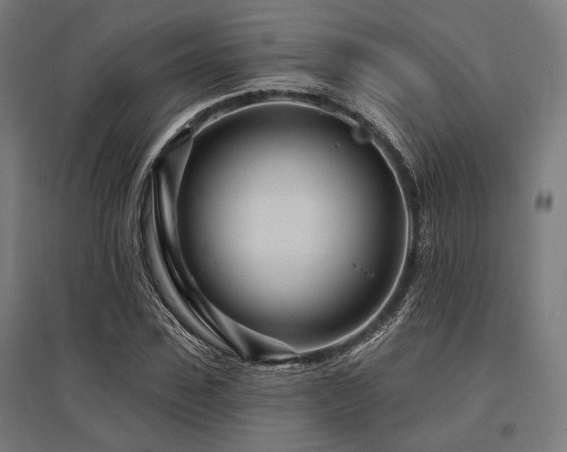 X0000096170923200801181246