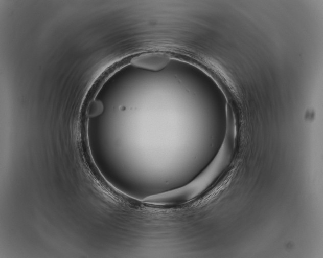 X0000096170924200801181246