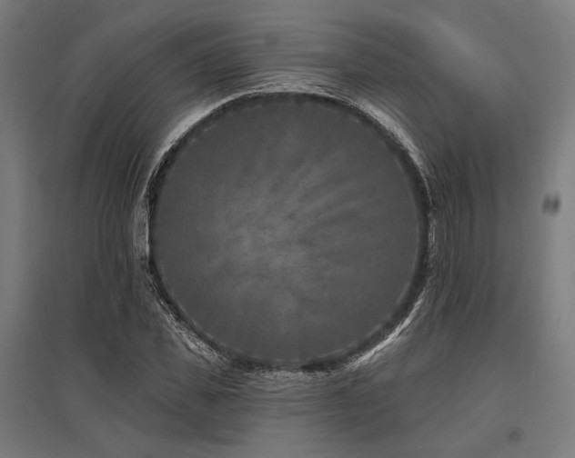 X0000096170925200801181246