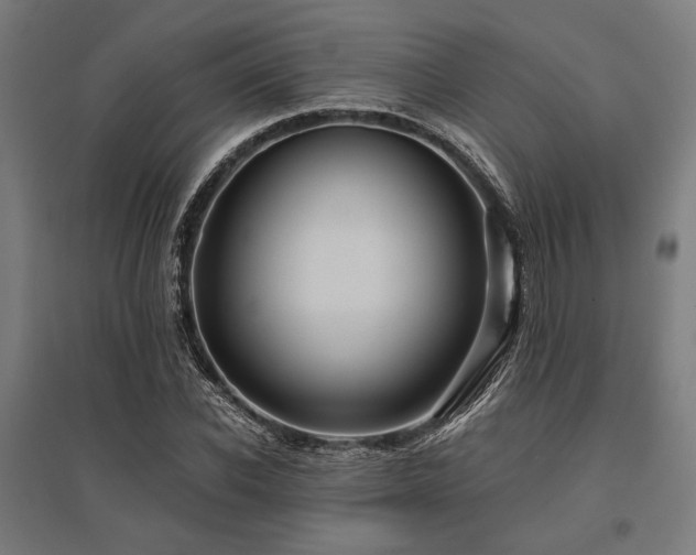 X0000096170926200801181246
