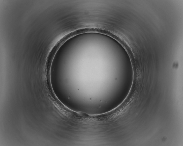 X0000096170927200801181246