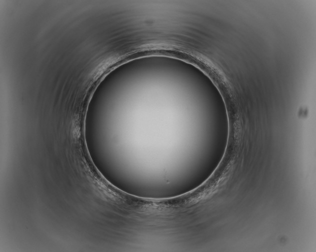 X0000096170929200801181246