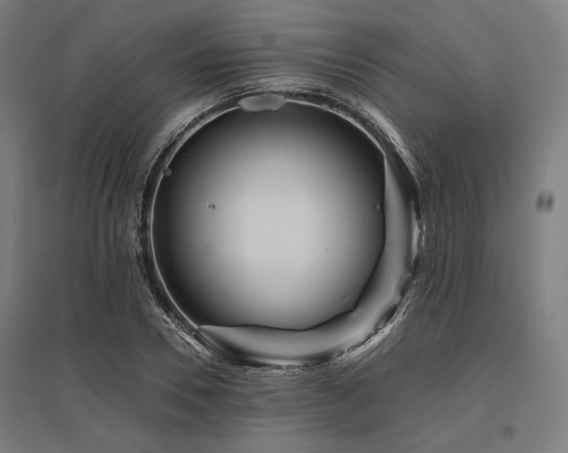 X0000096170930200801181246
