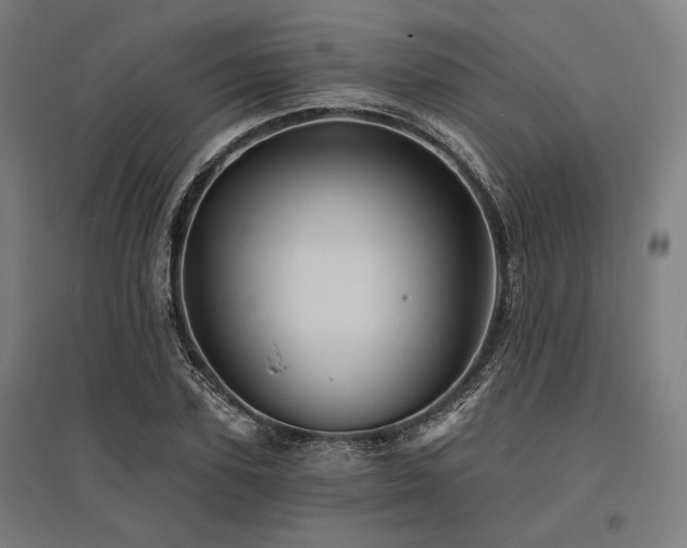 X0000096170931200801181246