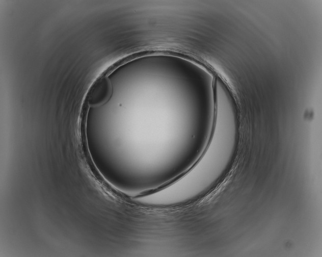 X0000096170932200801181246