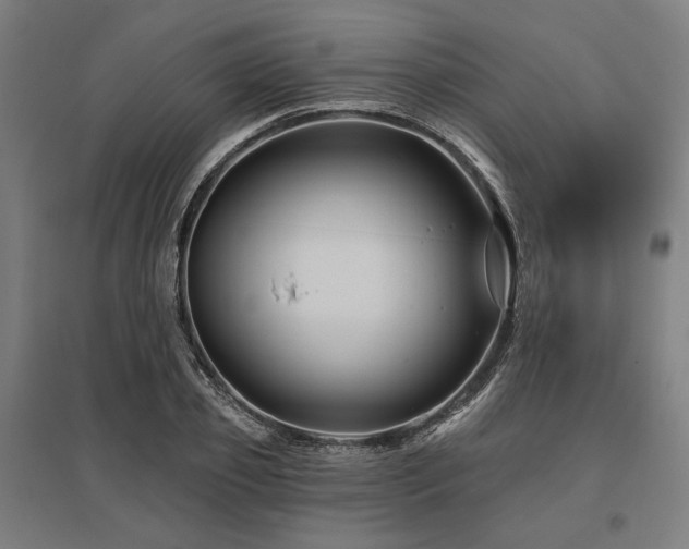 X0000096170933200801181246