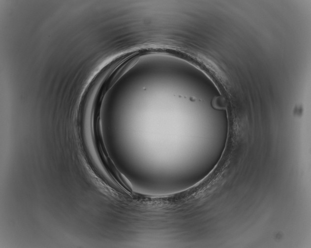 X0000096170934200801181246