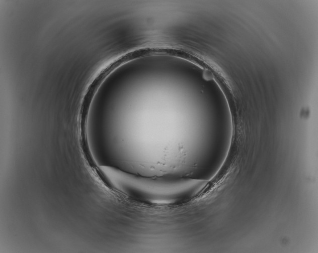 X0000096170935200801181246