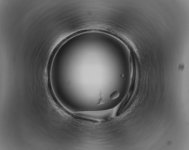 X0000096170936200801181246