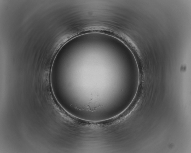 X0000096170937200801181246