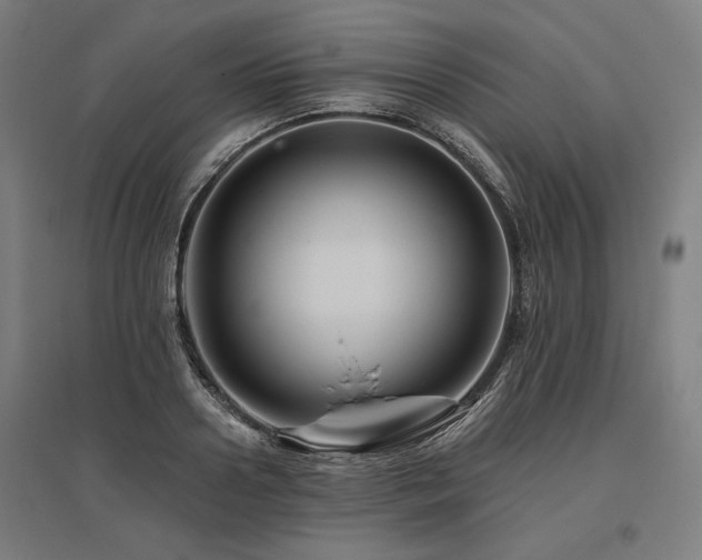 X0000096170938200801181246