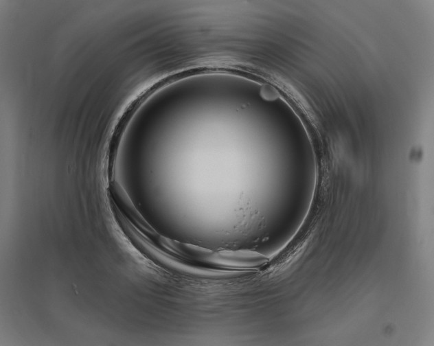 X0000096170939200801181246