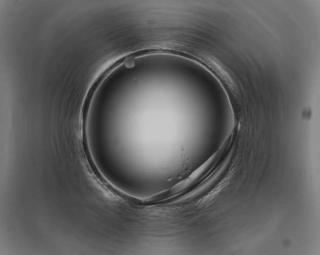 X0000096170940200801181246