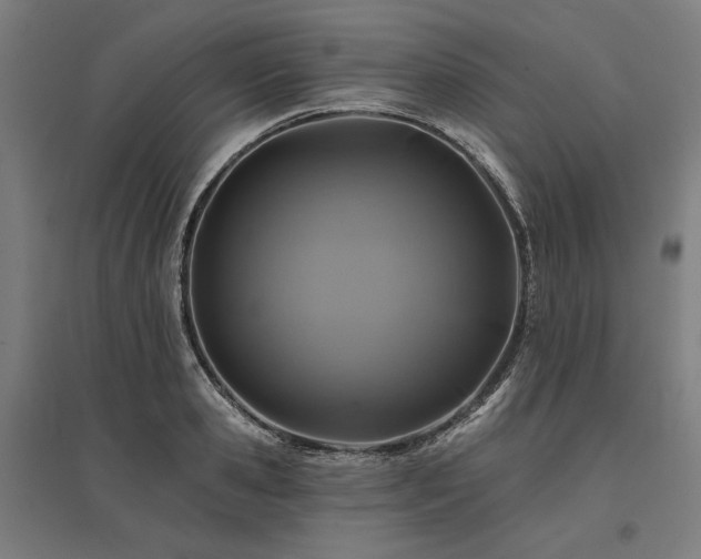 X0000096170941200801181246