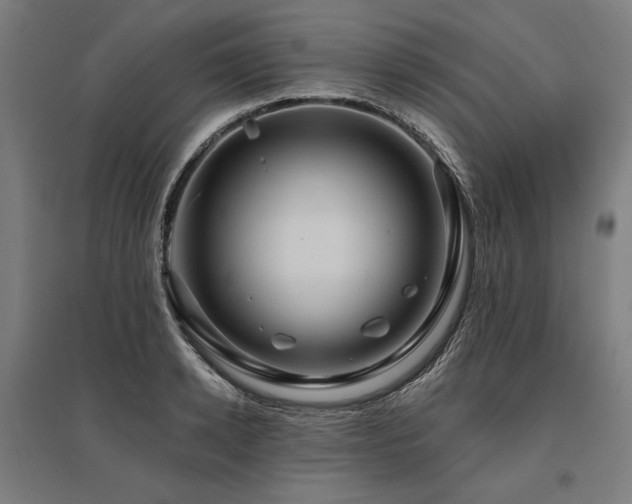 X0000096170942200801181247