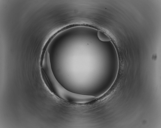 X0000096170943200801181247