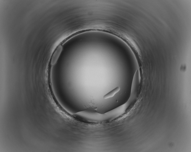 X0000096170944200801181247