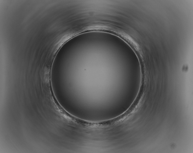 X0000096170945200801181247