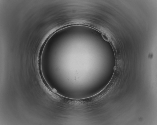 X0000096170947200801181247