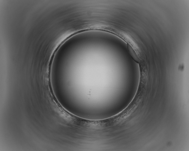 X0000096170948200801181247