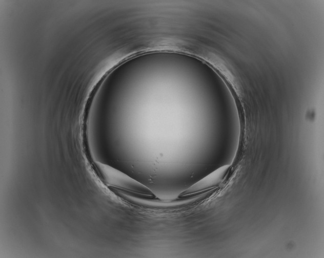 X0000096170949200801181247