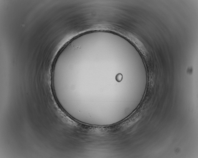 X0000096170950200801181247