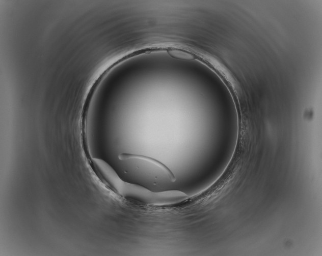 X0000096170951200801181247
