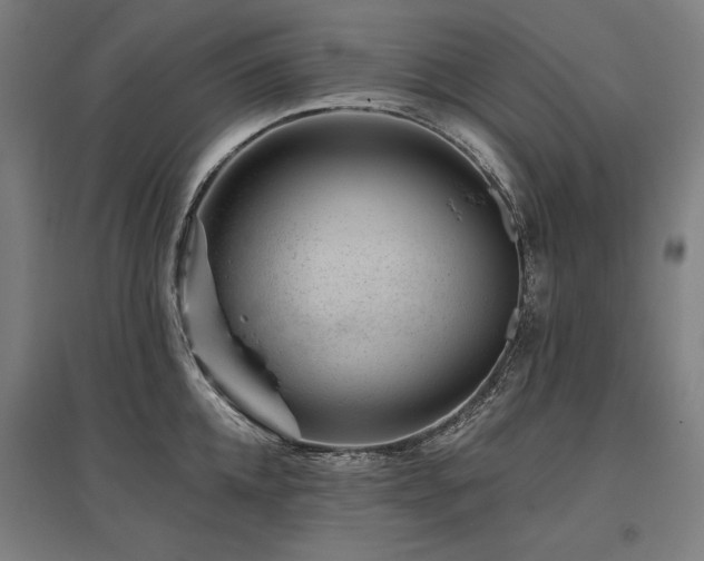 X0000096170952200801181247