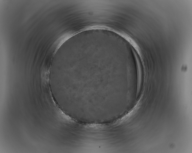 X0000096170953200801181247