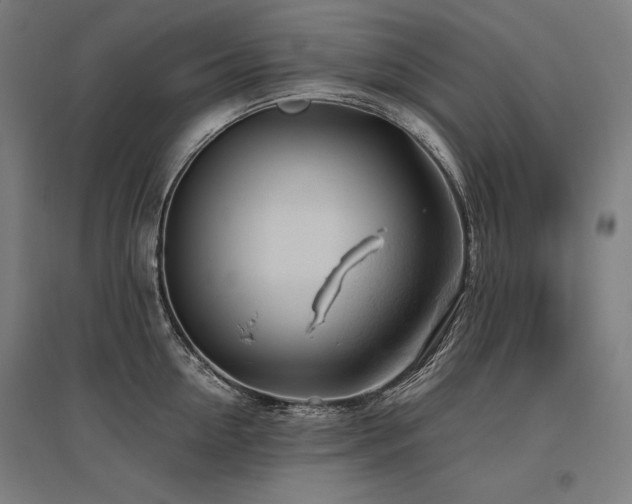 X0000096170954200801181247