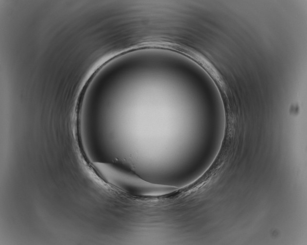 X0000096170955200801181247