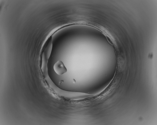 X0000096170956200801181247