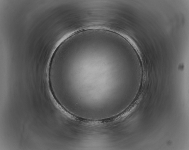 X0000096170957200801181247