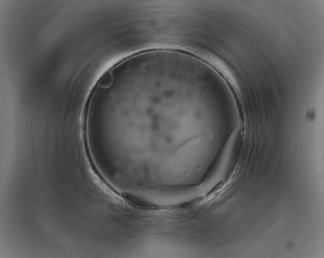 X0000096170958200801181247