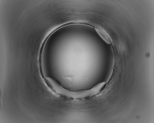 X0000096170959200801181247