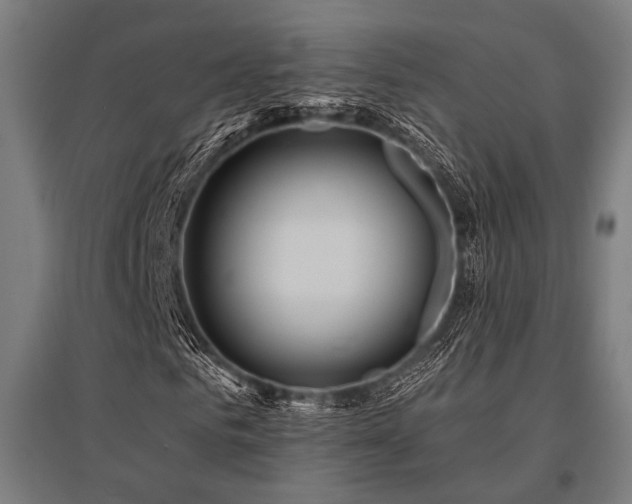 X0000096170961200801181246