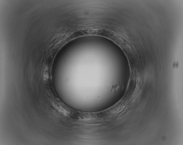 X0000096170962200801181246