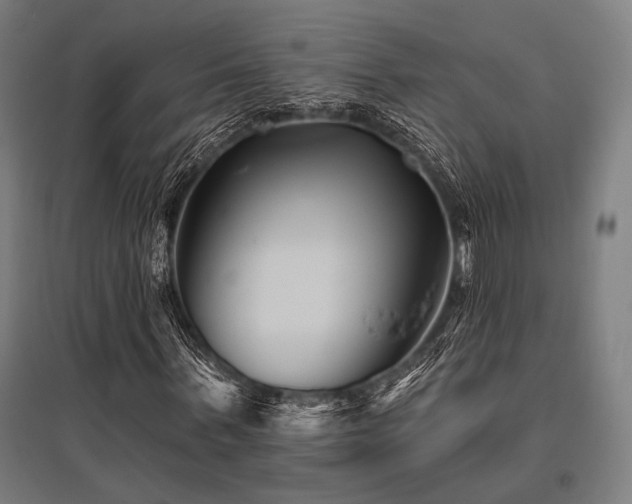 X0000096170963200801181246