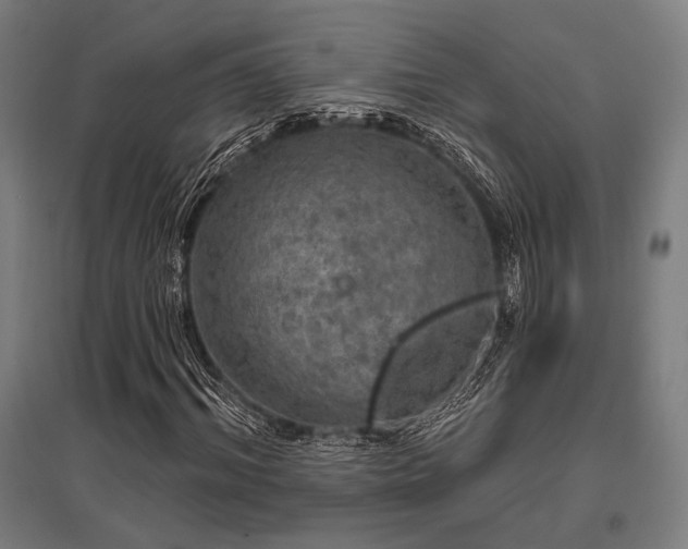 X0000096170964200801181246