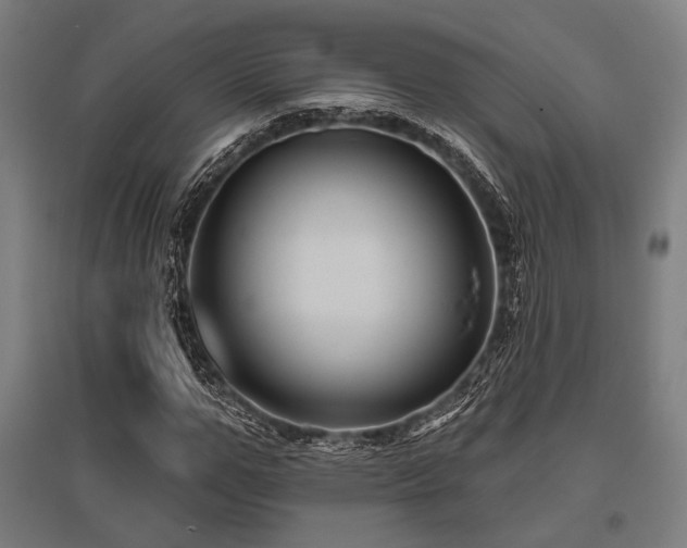X0000096170967200801181246