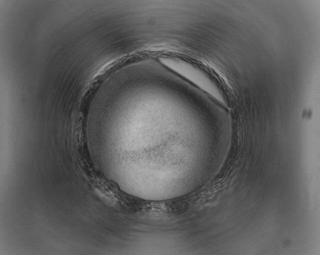 X0000096170968200801181246