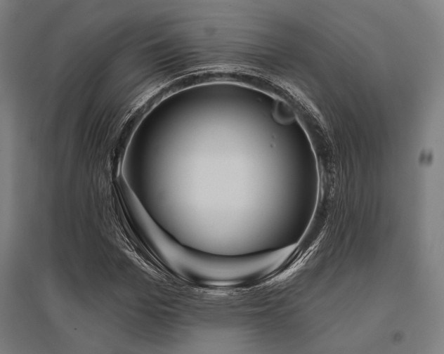 X0000096170969200801181246
