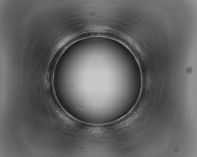 X0000096170970200801181246