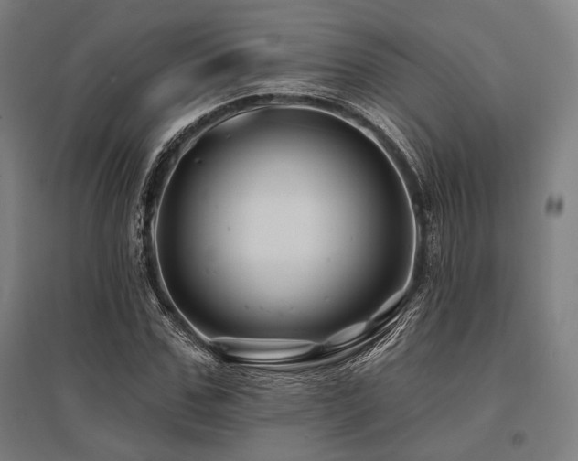 X0000096170971200801181246