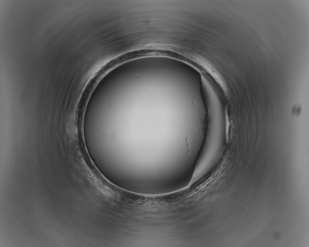 X0000096170972200801181246