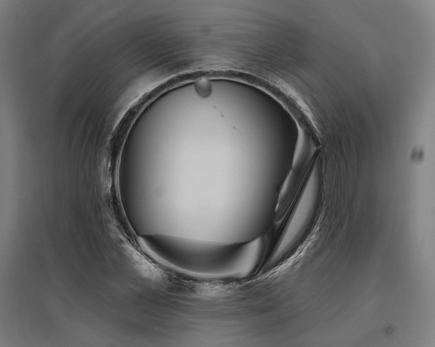 X0000096170973200801181246