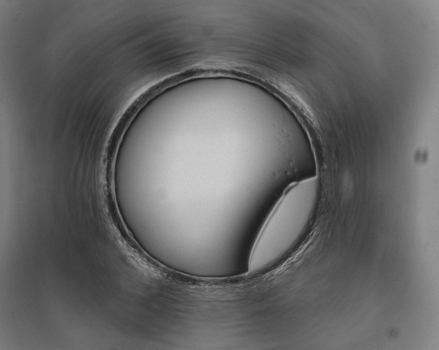 X0000096170976200801181246