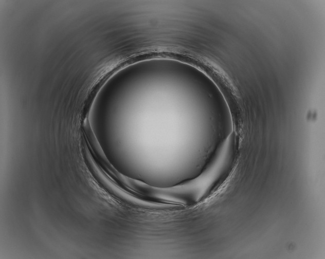 X0000096170977200801181246