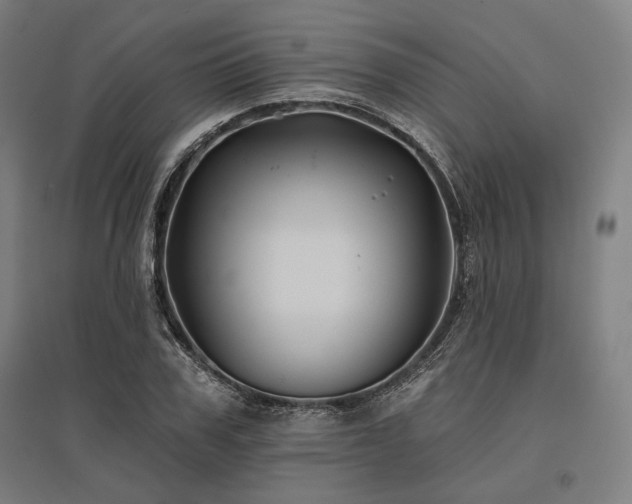X0000096170979200801181246